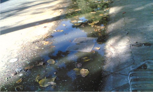 Agua estancada en la esquina de San Lorenzo y Sgto silva, esto no molesta a la municipalidad